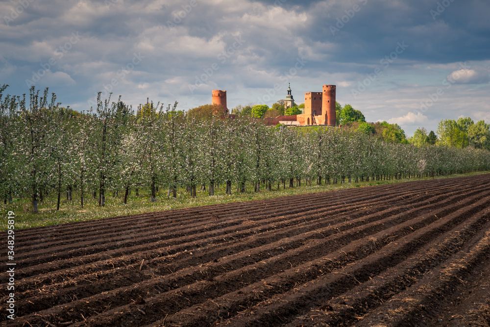 Castle in Czersk at sunny spring day, Poland