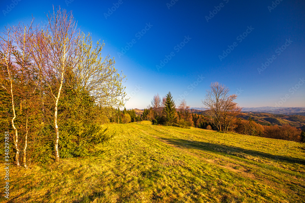 Mountainous landscape with forests at sunset. Kysuce region in the north of Slovakia, Europe.