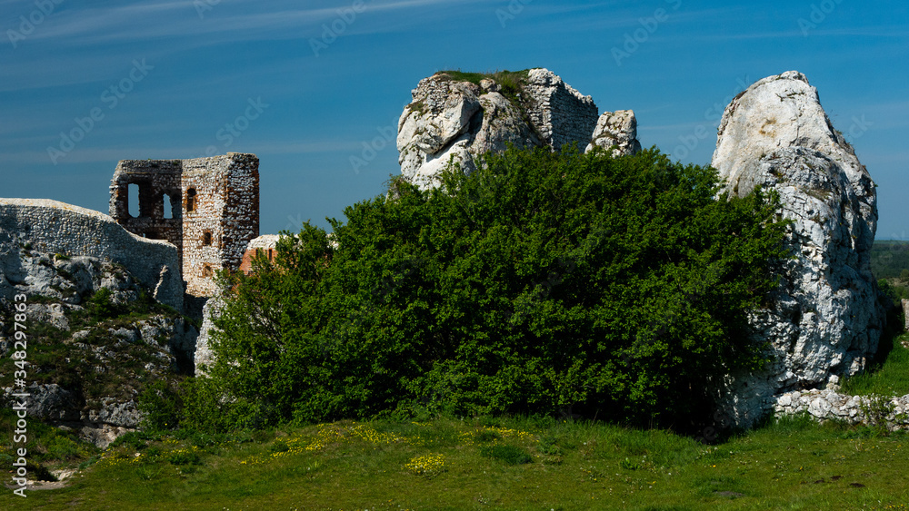 Ruins of the castle in Olsztyn. Free space for an inscription