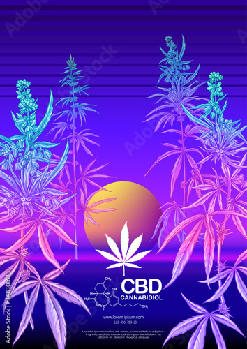 Hemp, Cannabis plant. Template, poster, card, good for product label. Vector illustration in neon, fluorescent colors