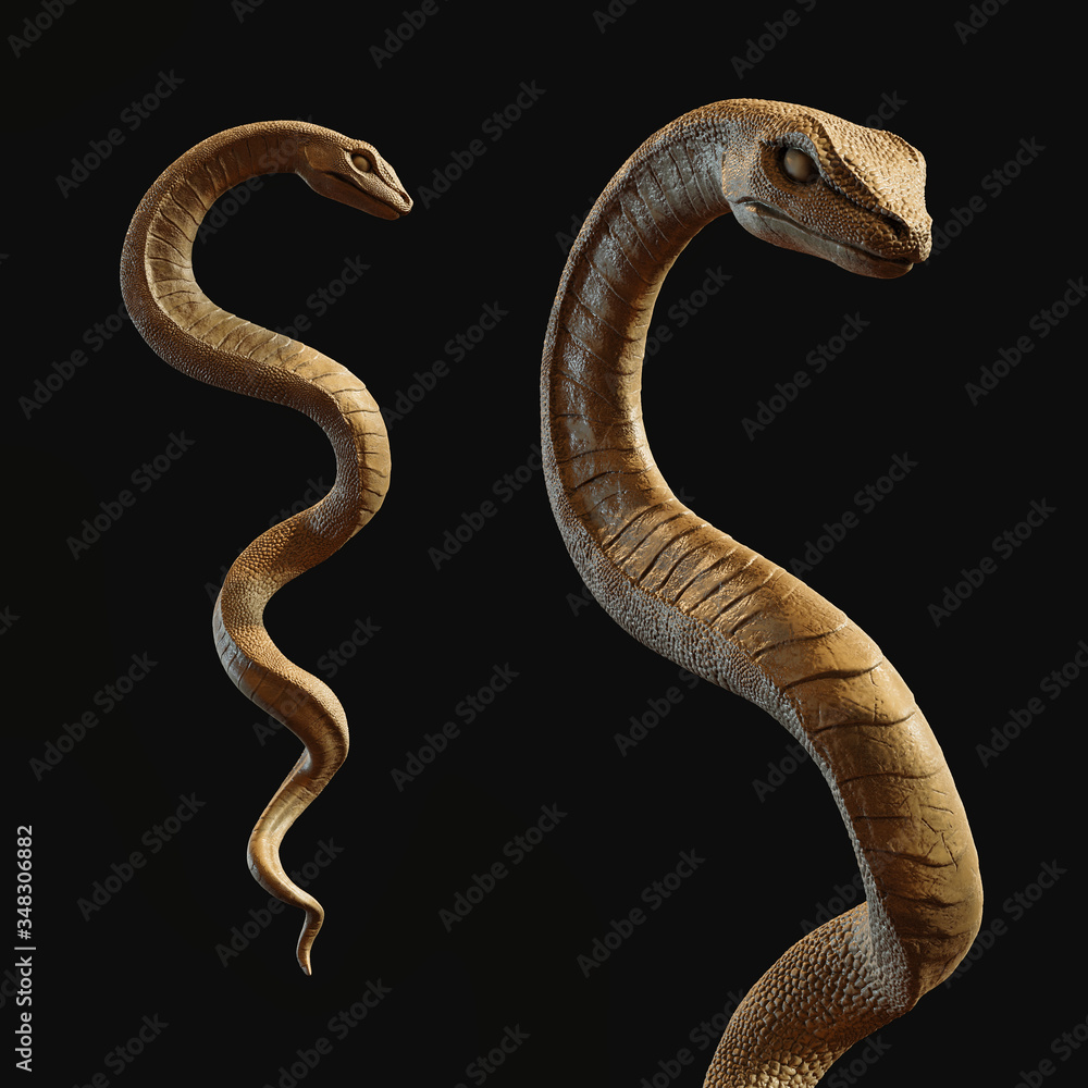 Fototapeta premium Gold Snake