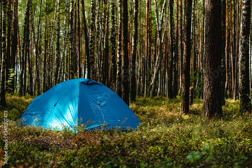 hiking travel life style passion concept picture of tent camp side place in forest moody nature environment green foliage and ground with hand made stone trail