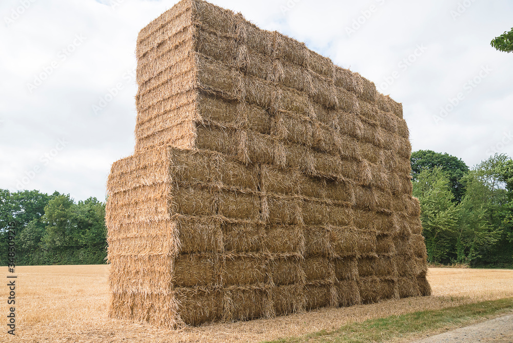 Stack of straw bales in the agricultural field