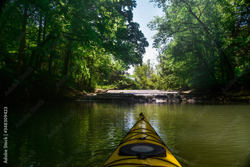 Fototapeta premium Paddling a Creek on the French Broad River in Knoxville, TN 