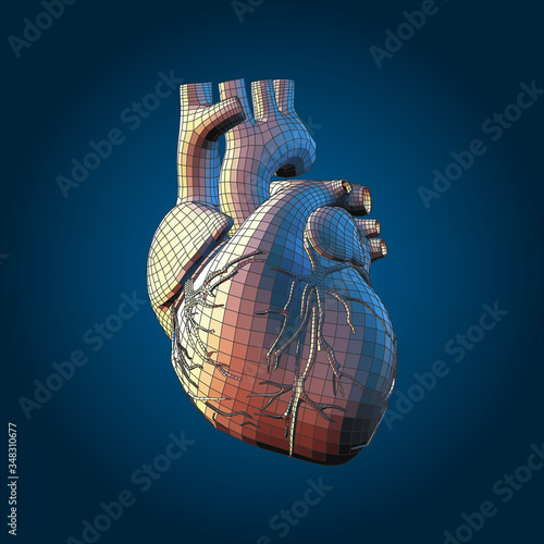 3D human heart vector illustration isolated on dark BG