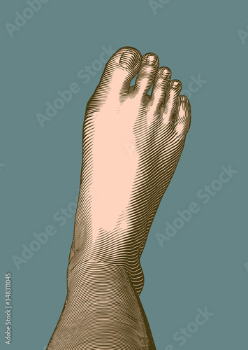 Engraving human foot fingers and nail vector illustration on green BG