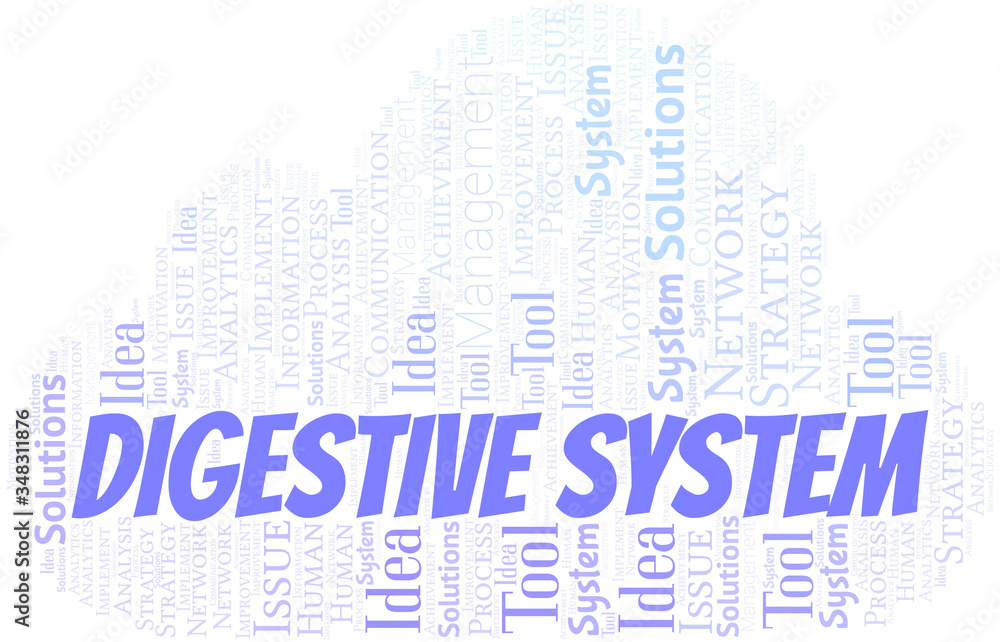 Obraz premium Digestive System typography vector word cloud.