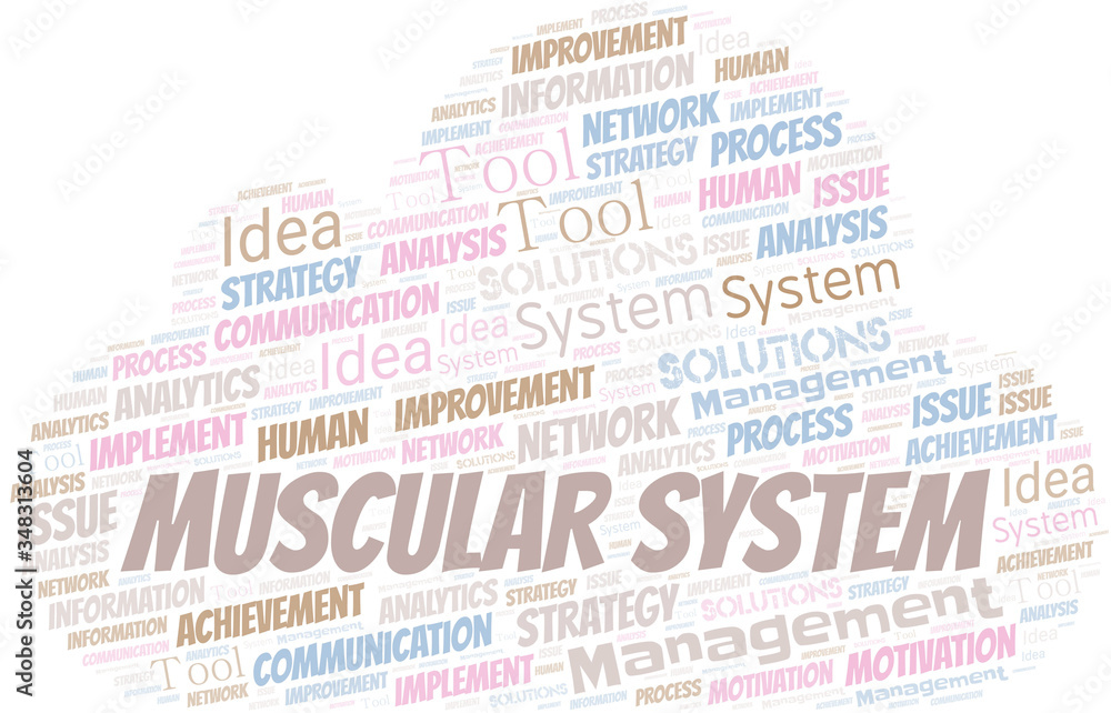 Muscular System typography vector word cloud. Muscular System typography vector word cloud.