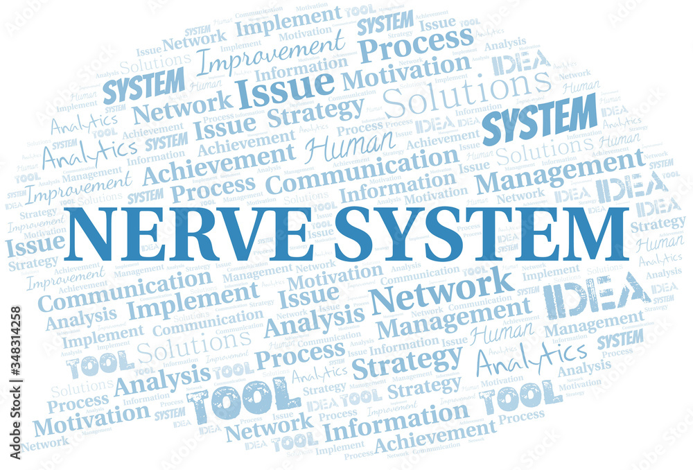 Nerve System typography vector word cloud. Nerve System typography vector word cloud.