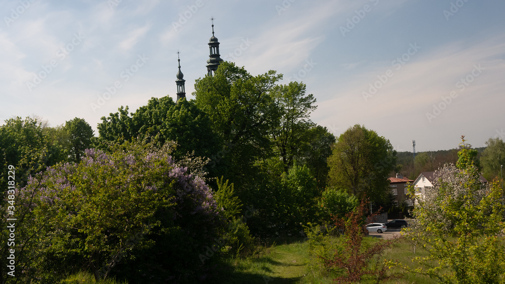View of the trees and the church in Olsztyn. Free space for an inscription