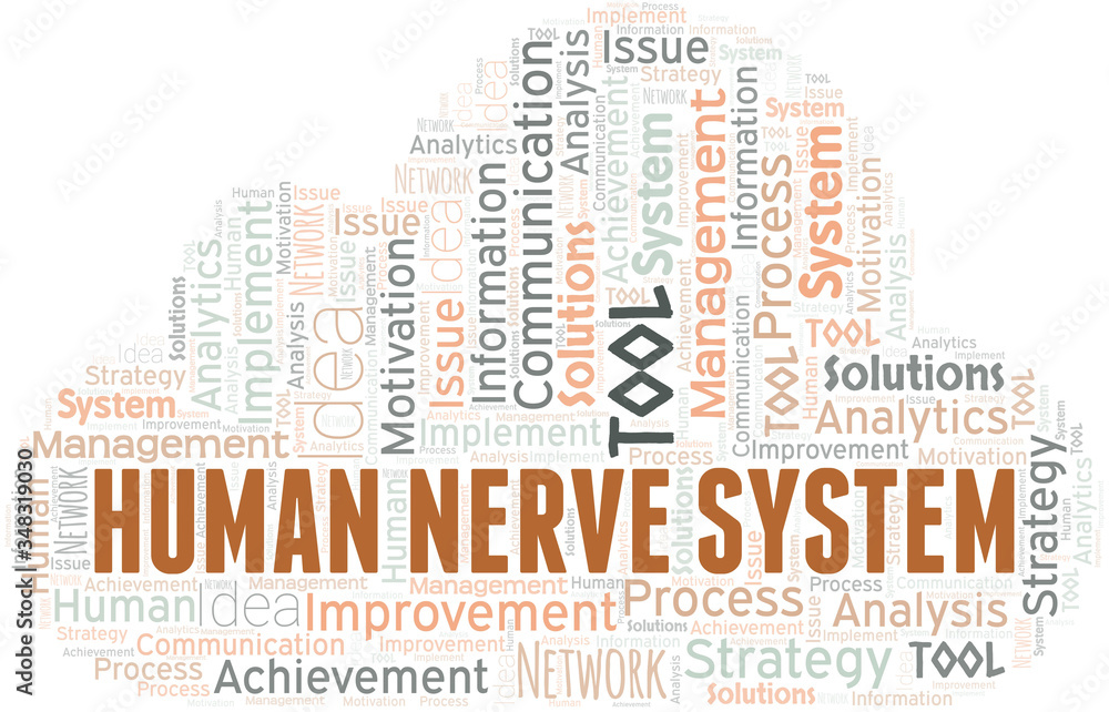 Human Nerve System typography vector word cloud. Stock Vector | Adobe Stock
