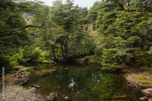 patagonia landscapes forest nature river lake