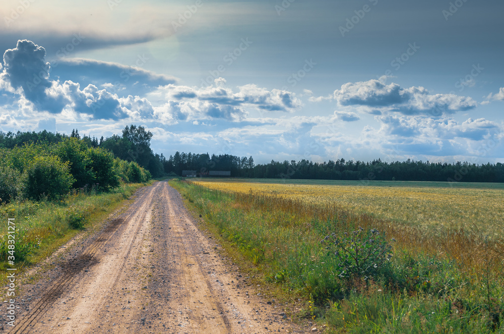 An empty countryside road in Lokuta, Jarvamaa, Estonia