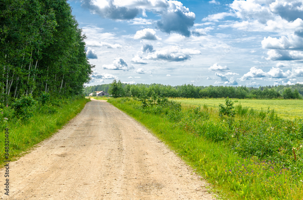 A countryside road in summer, Lokuta, Jarva County, Estonia