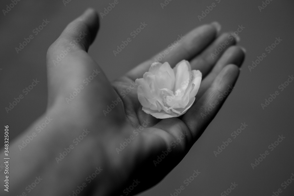 hand of a woman with a flower hand of a woman with a flower