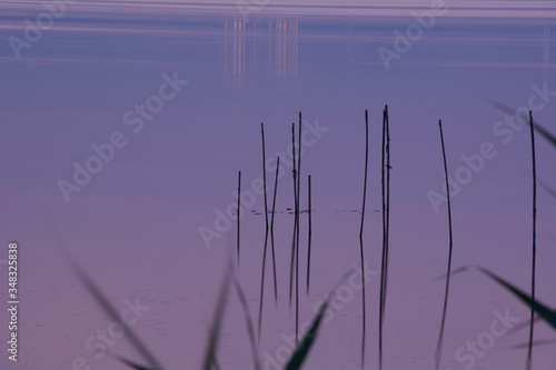 Sunset on the big lake, from the reeds, green, golden colors, calm waters, reflections, long exposition
