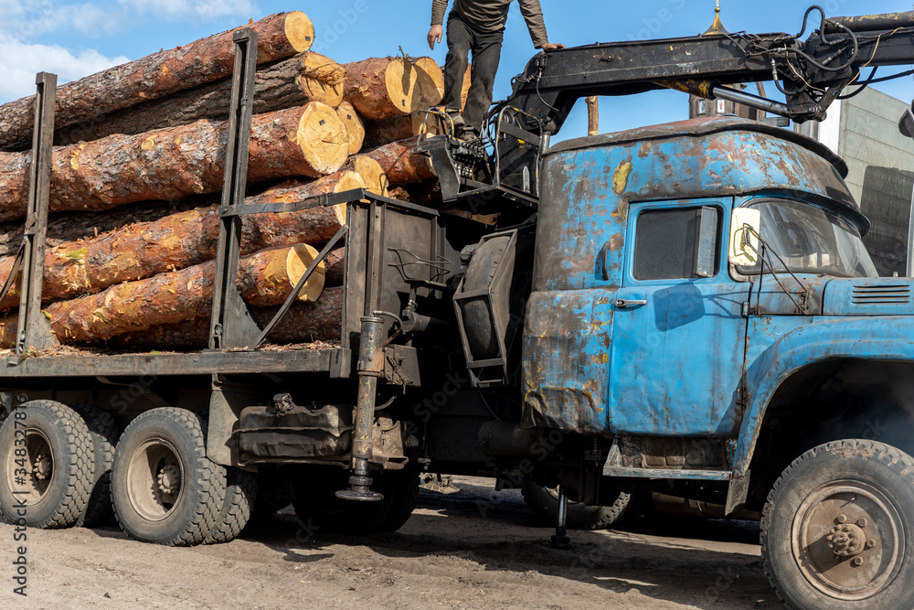 Loading heavy industrial truck trailer with big timber pine, spruce, cedar logs by crane grab loader tractor machine. Pile coniferous lumber shipping at sawmill. Deforestation and nature exploitation