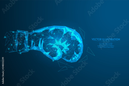 Close up of a boxing glove. The concept of shock, sports, health, overcoming conflict, business problem solving. 3d low poly wireframe model vector illustration.