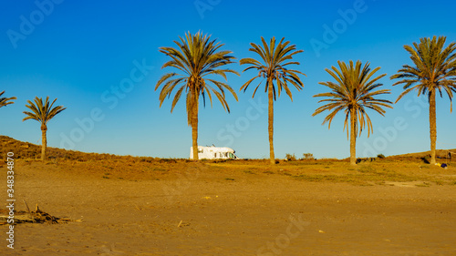 Camper on beach, camping on sea coast © Voyagerix