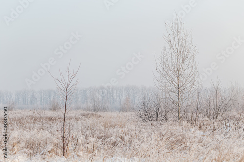 Frosty winter landscape