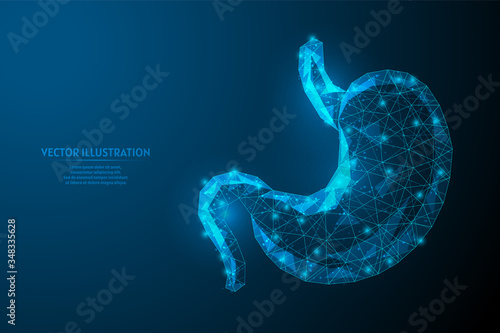 Human stomach close up. Organ anatomy. Digestive system. Ulcer, cancer, gastritis, dysbiosis. Innovative medicine and technology. 3d low poly wireframe vector illustration. photo