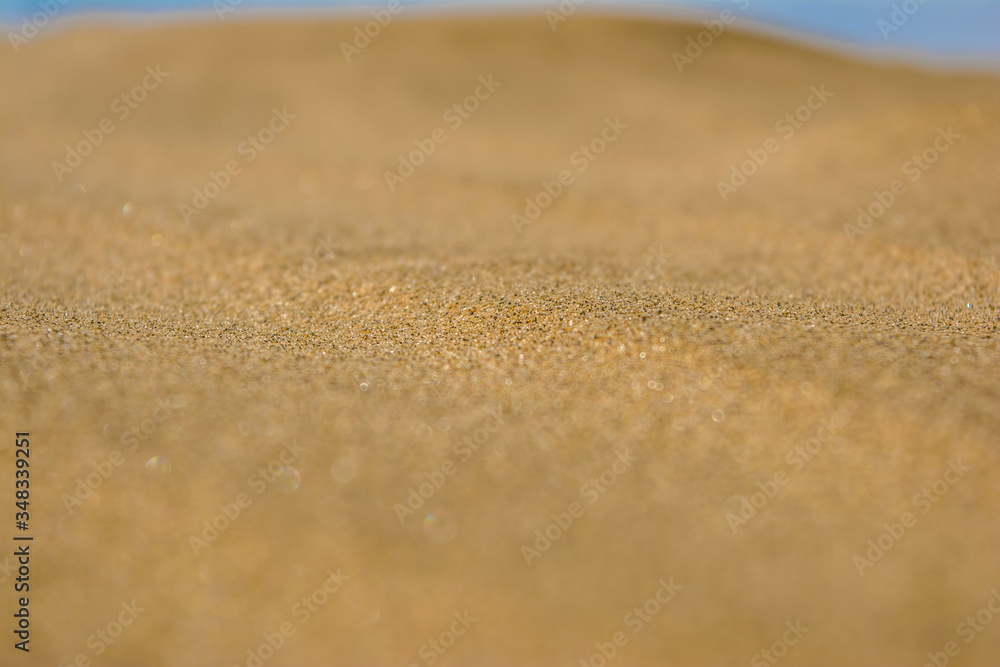 desert of Jaisalmer the golden city, an ideal allure for travel enthusiasts, Sam Sand Dunes
desert of Jaisalmer the golden city, an ideal allure for travel enthusiasts, Sam Sand Dunes