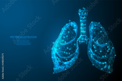 Human lungs and trachea. Organ anatomy. Coronavirus pneumonia, cancer, organ transplant, tuberculosis, asthma. Innovative medical technology. 3d low poly wireframe vector illustration.