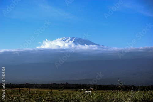 Vocano Kilimanjaro on the backgroud, Tanzania