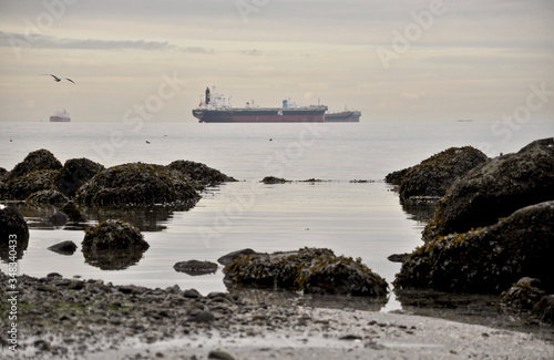 Cargo ship on the shoreline photo