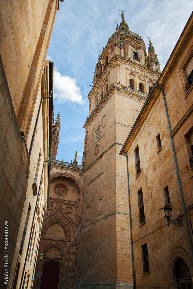 The imposing tower of the Old Cathedral in Salamanca (Spain) and a phew houses in a sunny day