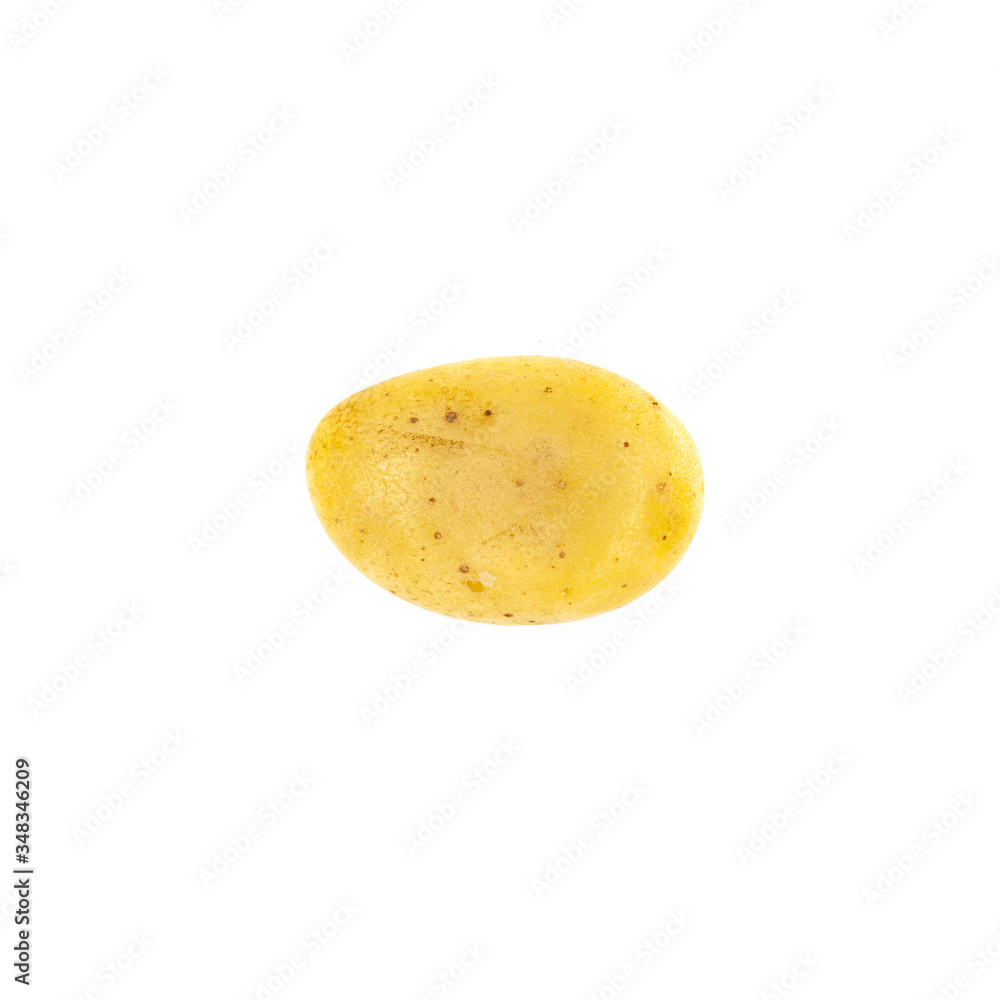 Young potato isolated on white background. Harvest new. Young potato isolated on white background. Harvest new.