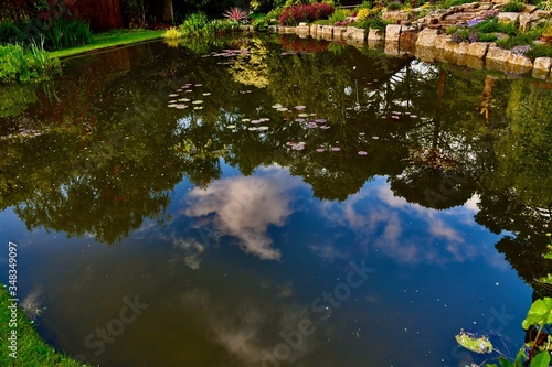 Skey and trees reflection in garden pond