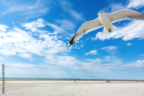 Close up of flying white seagull against blue sky.