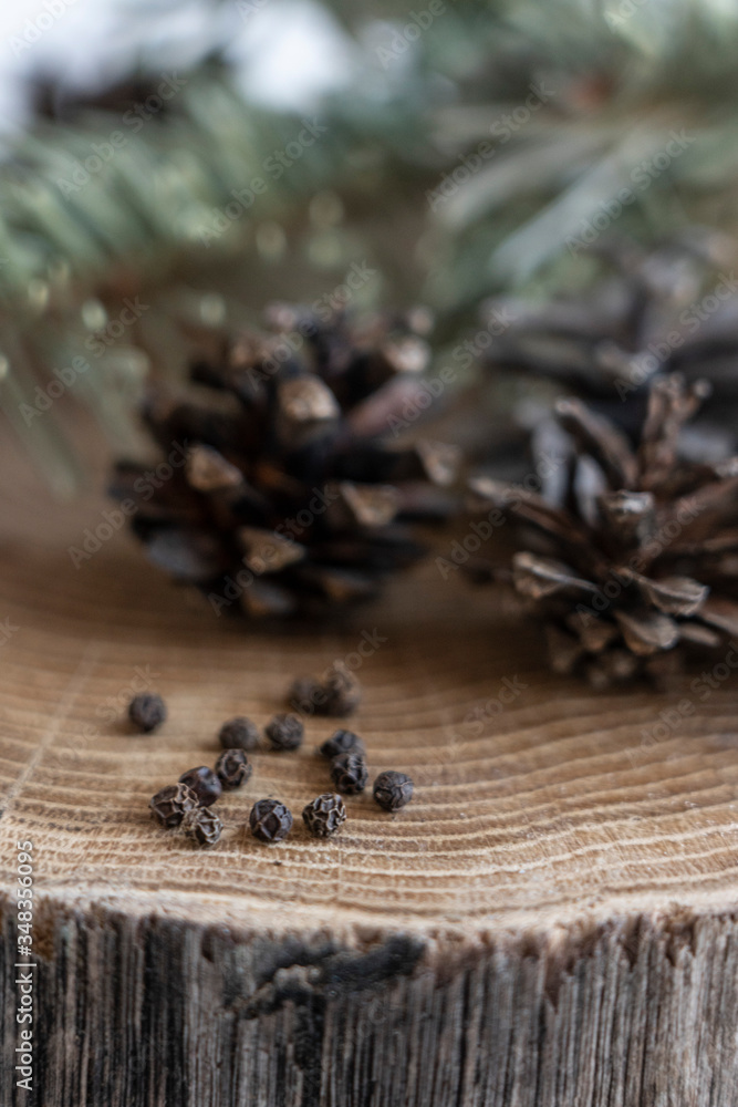 cones on an oak stand cones on an oak stand