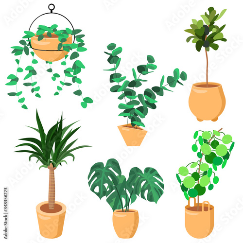 Greenhouse sticker set on white isolated backdrop. House plant icon for gift card, home plants store logo, bath tile, web landing page. Phone case or cloth print. Flat style stock vector illustration