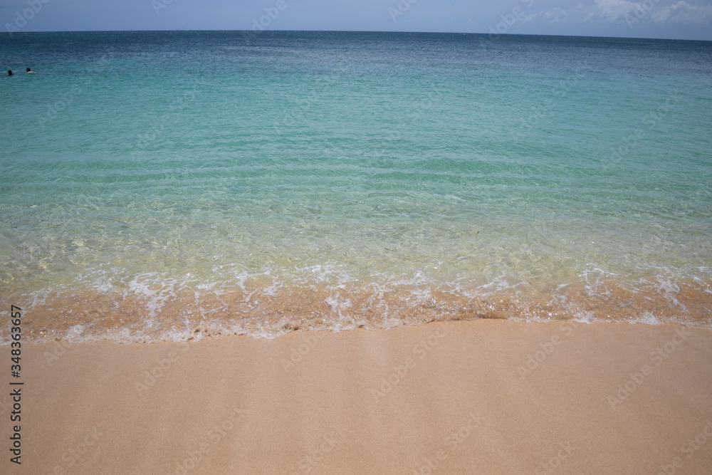 Obraz premium 砂浜