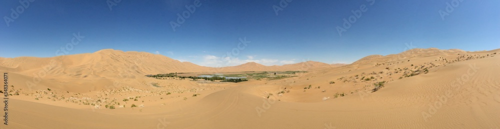 Desert Oasis Panorama
