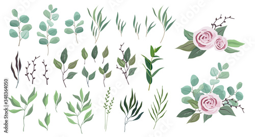 Vector floral greenery collection. set with eucalyptus silver dollar, rosemary, olive branch, fern