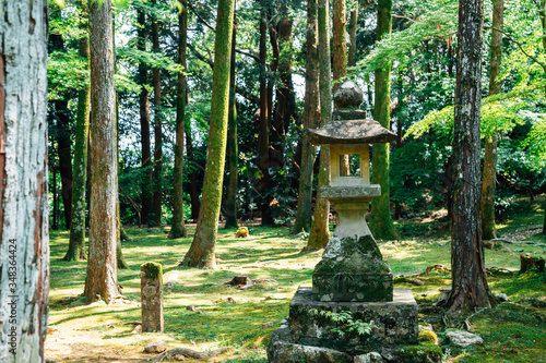 Obraz na płótnie Traditional stone lantern with forest at Godaisan mountain Chikurin-ji temple in Kochi, Shikoku, Japan w salonie