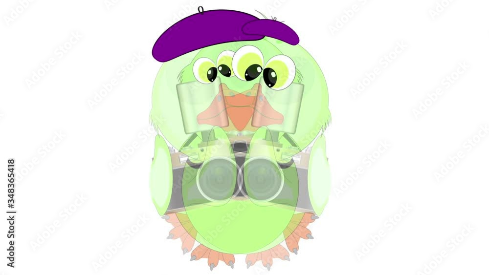duckling with a camera. cartoon animation on a white background.