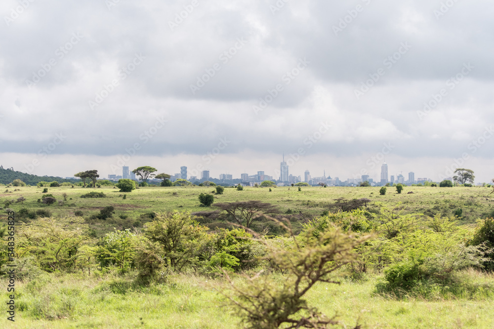 Nairobi Kenya skyline as visible from safari in Nairobi National Park