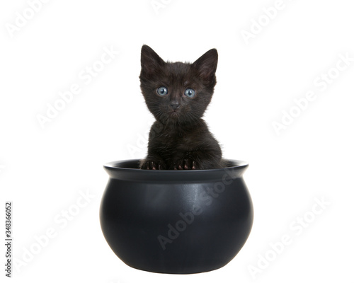 Adorable black kitten with vibrant blue eyes sitting in a small black cauldron with paws on edge of, looking directly at viewer. Isolated on white.
