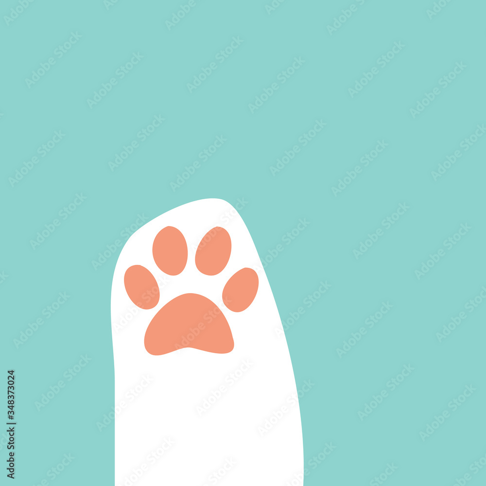 Patte Patte