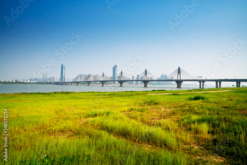 yangtze river cable stayed bridge © gjp311
