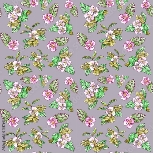 blooming apple tree branches on a dark pink background. Seamless pattern.