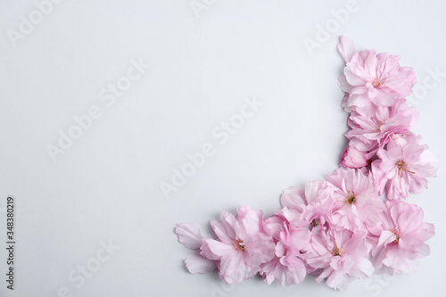 Fototapeta Naklejka Na Ścianę i Meble -  Beautiful sakura blossom on light background, space for text. Japanese cherry