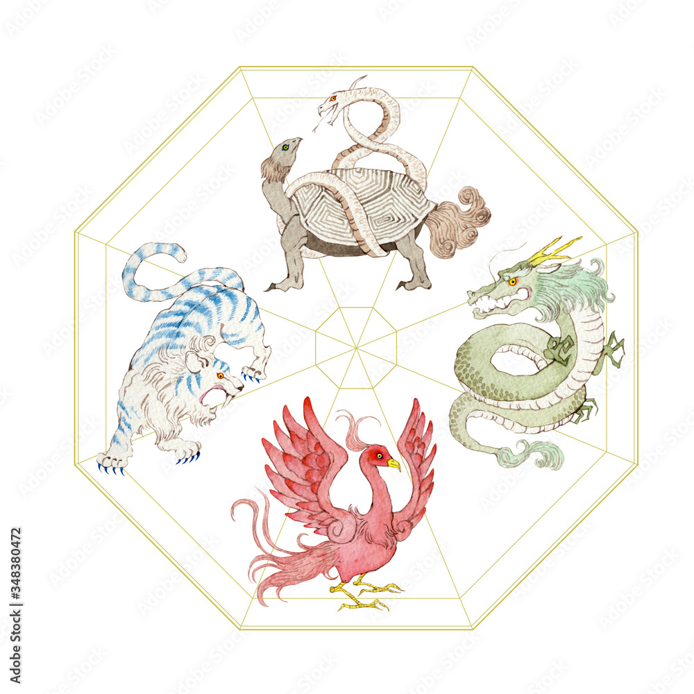 四神 四獣 風水 占い 水彩 イラスト Stock Illustration Adobe Stock
