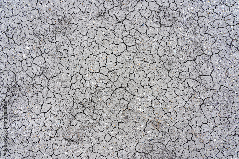 Dried-up Lange Lacke Lake at the Neusiedlersee in Burgenland, Austria Dried-up Lange Lacke Lake at the Neusiedlersee in Burgenland, Austria
