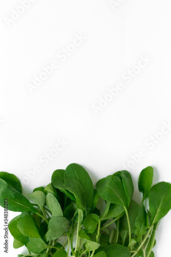 Set of vegetables on a white background: lettuce, zucchini, peas, parsley and dill.