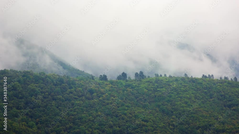 Mist over the mountain. Timelapse of fog moving through the trees. Winter feeling. Mist over the mountain. Timelapse of fog moving through the trees. Winter feeling.